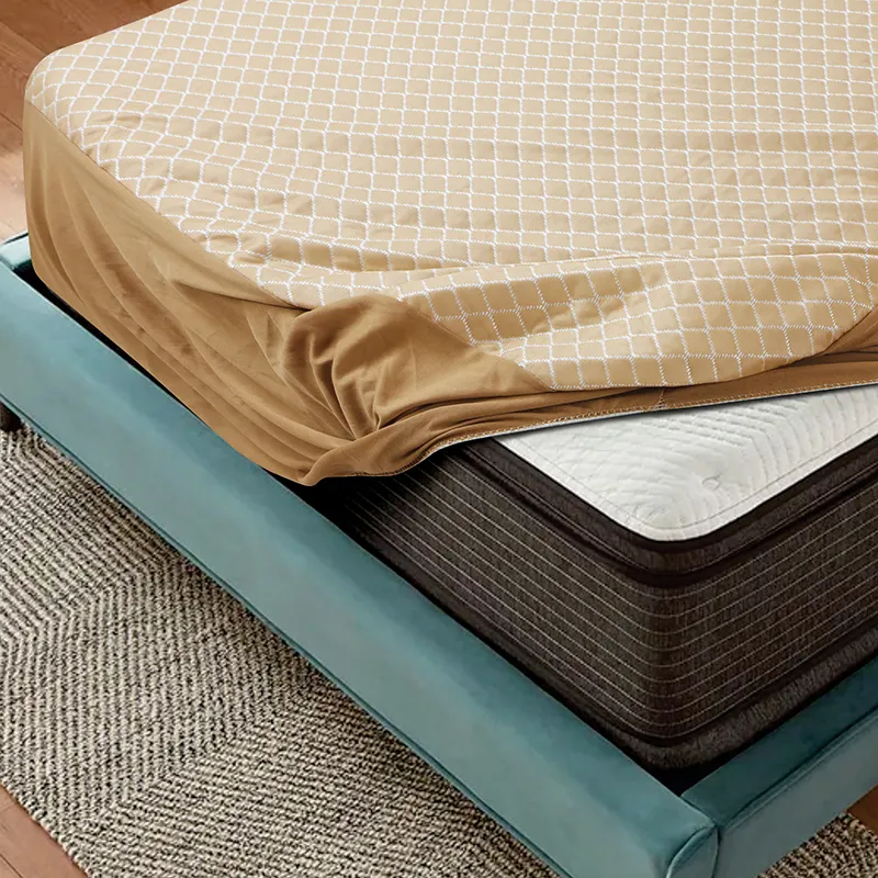 08-18307A6457 copy.webp